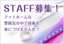 スタッフ募集！